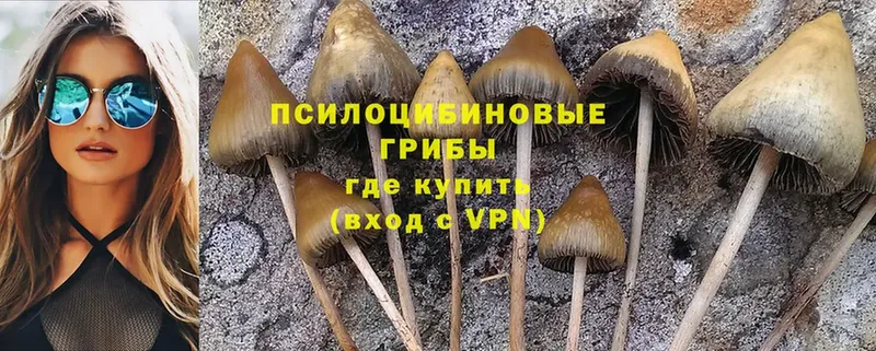 hydra ссылки  Бирск  Псилоцибиновые грибы Cubensis 